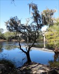 Image for Branford Spring - Ivey Memorial Park, Branford, Florida, USA.
