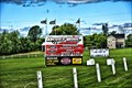 Image for Devils Bowl  Speedway - Fair Haven, VT