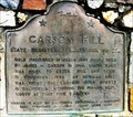 Image for CA Historic Marker: Carson Hill