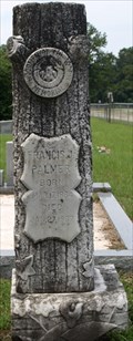Image for Francis J Palmer - Audubon Cemetery - Pearl River,LA
