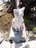 Image for Chippie the Town Cat — Palmerston, New Zealand