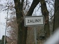 Image for Zaliny, Czech Republic