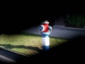 Image for All american hydrant