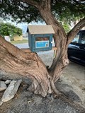 Image for Free Book Exchange - N. Malmok Beach, Aruba