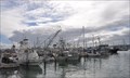 Image for Driscoll's Wharf Marina ~ San Diego, California