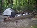 Image for Marble Springs Campsite, AT Nr Snowden, VA, James River Face Wilderness