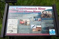 Image for The Rappahannock River Runs Free Once More