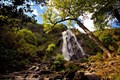 Image for Powerscourt Falls, Enniskerry, Co Wicklow, Ireland