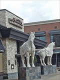 Image for P.F. Chang's Horses - The Woodlands, TX