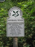 Image for Hogback Wood - Buckinghamshire