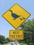 Image for Geese Crossing - Arlington, TX