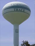 Image for The Tammany Trace Water Tower