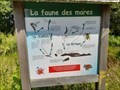Image for La faune des mares - La Souterraine - Nouvelle Aquitaine - France