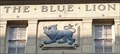 Image for Blue Lion - Grey's Inn Road, London, UK.