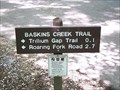 Image for Baskins Creek Trail (south end) - Great Smoky Mountains National Park, TN