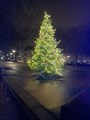 Image for Christmas Tree De Evenaar - Rotterdam - The Netherland