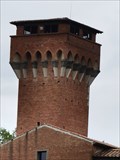 Image for Torre Guelph - Pisa, Italia
