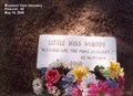 Image for Little Miss Nobody - Prescott AZ