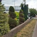 Image for Spiral conifers - Hillegom (NL)