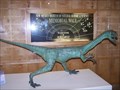 Image for Coelophysis - New Mexico Museum of Natural History and Science