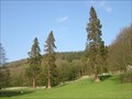 Image for Redwoods Holker Hall Cumbria
