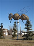 Image for World's Largest Bee - Falher, Alberta