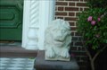 Image for Lion - Charleston 