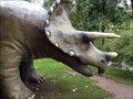 Image for Triceratops - Kaiserslautern, Germany