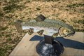 Image for Neosho National Fish Hatchery Trout Signs – Neosho, Missouri