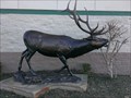 Image for I'm the Boss - Elk statue - Columbia SC