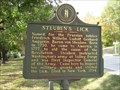Image for Steuben's Lick