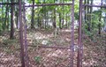 Image for Abandoned Cemetery, Little Hall Recreation Area - Gainesville, GA