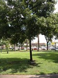 Image for Dedicated Tree for Eleanor Bennett - San Antonio, TX, USA
