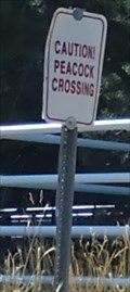 Image for Peacock Crossing Sign