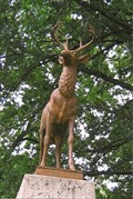 Image for Deer ~ Girard, Kansas