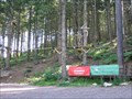 Image for Tree Top Adventure - Llanwrst Road, Betws-y-Coed, Conwy, North Wales, UK