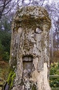 Image for 'Tree Entity', Ty'n Y Coed Inn, Capel Curig, Conwy, Wales