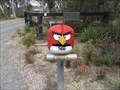 Image for Angry Bird - Tallong, NSW