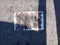 Image for SE 37th and Hawthorne Toynbee Tile - Portland, OR