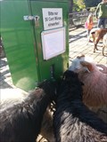 Image for Feeding the Goats and Sheep - Wilhema - Stuttgart, Germany, BW