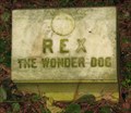 Image for Rex the Wonder Dog - Linwood, NJ