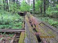 Image for LAST functioning lumber flume in USA