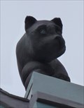 Image for Black Cat - Tallinn, Estonia