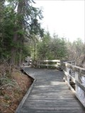 Image for Barrier-Free Boardwalk - French Lake, ON