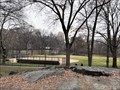 Image for Playing baseball in Central Park - NYC, NY, USA