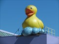 Image for Duck on the roof - San Jose, California