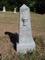 Image for Mary Hayes - Union Hill Cemetery - Cooke County, TX