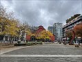Image for Olympic Village - Vancouver, BC