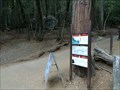 Image for John Muir Trail - Yosemite, CA