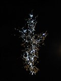 Image for Glass Tree - Frauenau, Lk Regen, Bayern, D